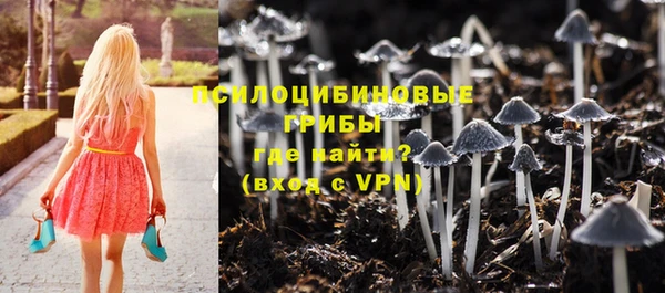 мяу мяу мука Абинск