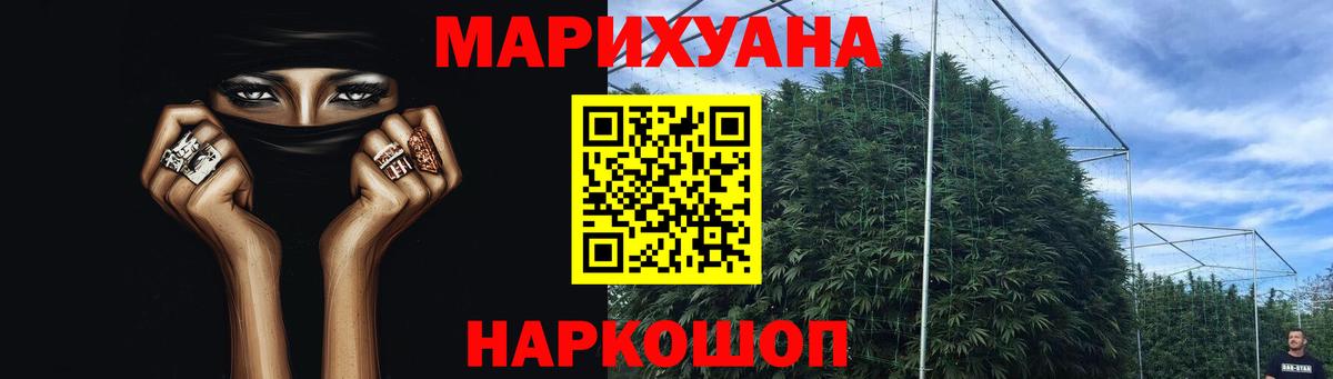 Конопля White Widow  Вход с VPN  Балахна  Шишки марихуана марихуана 